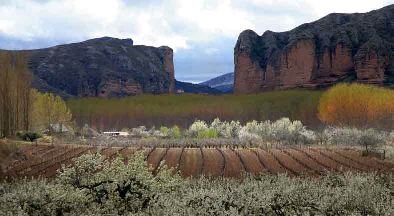 IGP CHORIZO RIOJANO. EMPRESAS QUE ELABORAN UN PRODUCTO DE CALIDAD GARANTIZADA