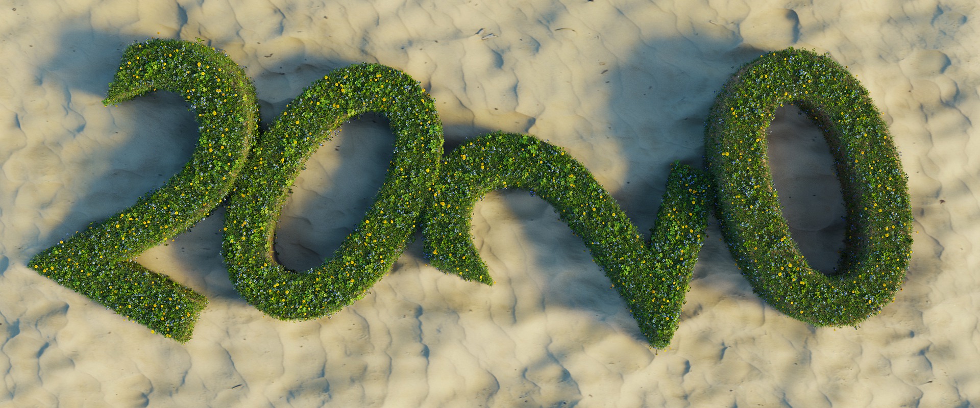 A New Year full of dreams The best proposals for 2020